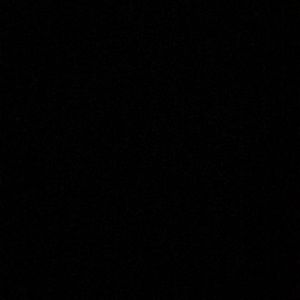 Meet your Posher, Denisha